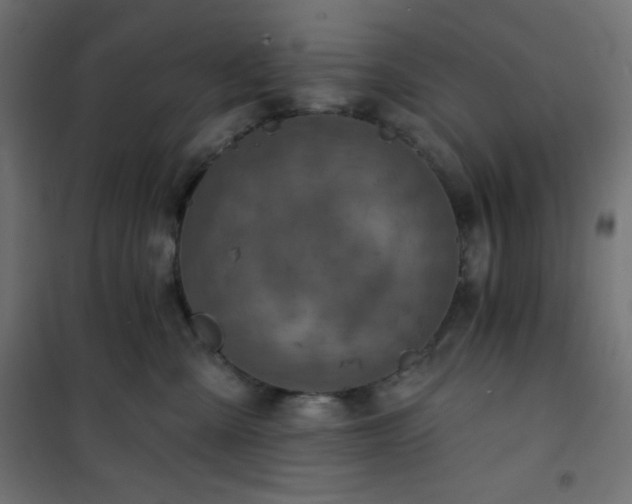 X0000101140427200807071130