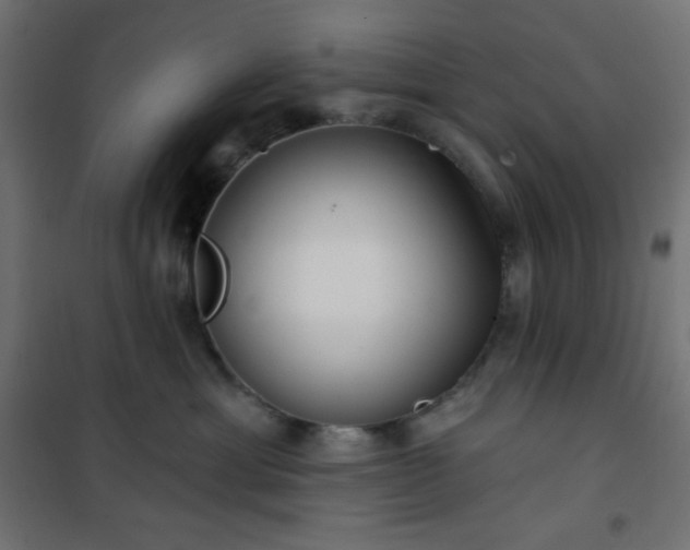 X0000101140429200807071130