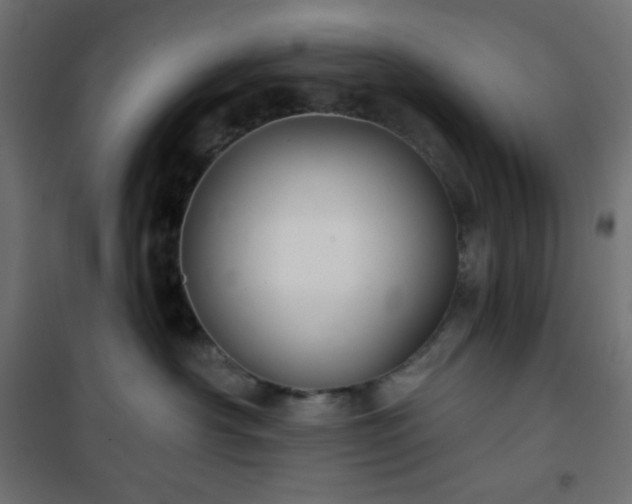 X0000101140430200807071130