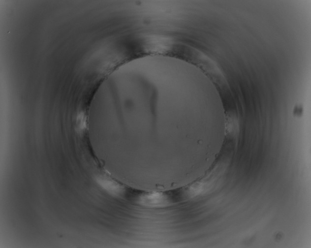 X0000101140431200807071130