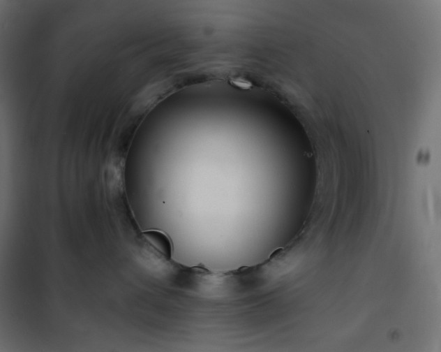 X0000101140432200807071130