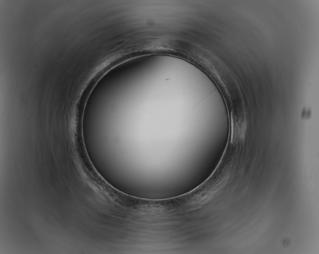 X0000101140435200807071130