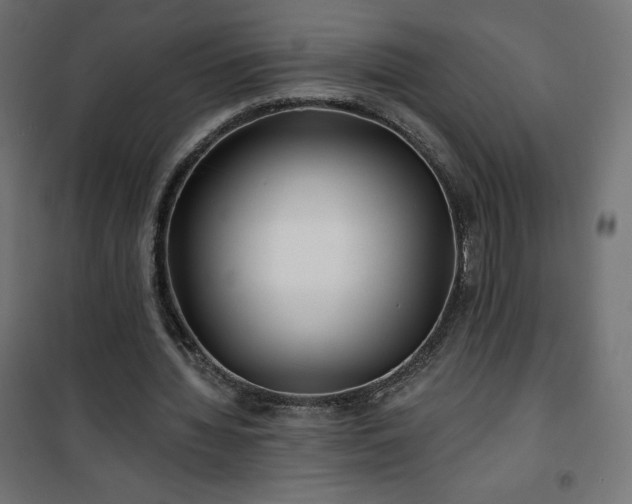 X0000101140436200807071130