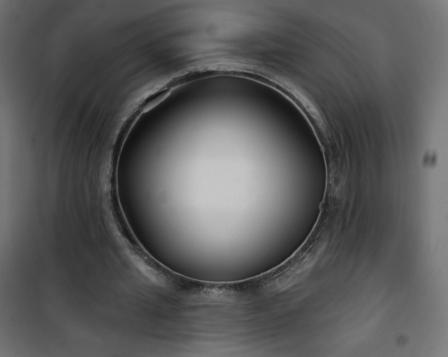 X0000101140437200807071130