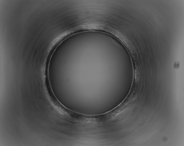 X0000101140438200807071130