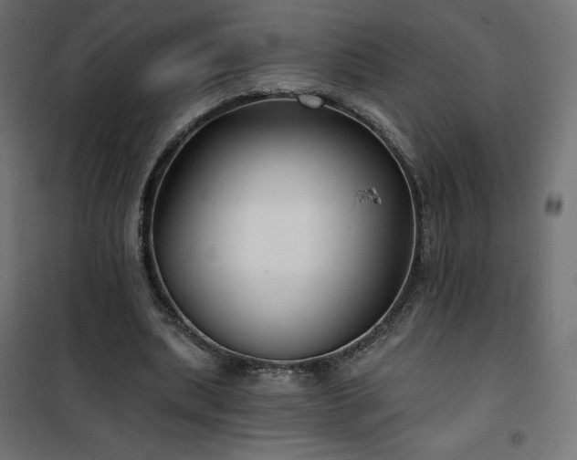 X0000101140439200807071130