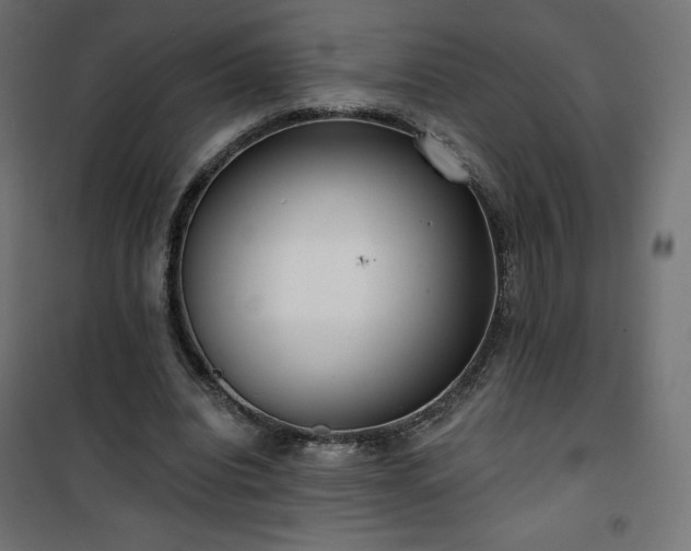 X0000101140440200807071130