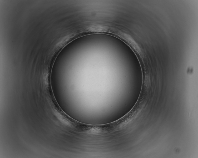 X0000101140441200807071130