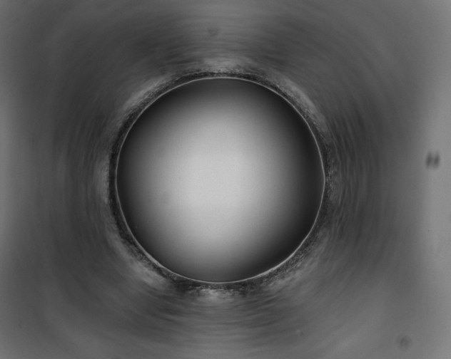 X0000101140442200807071130