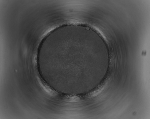 X0000101140443200807071130