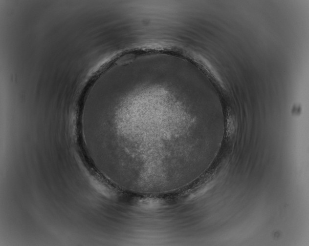 X0000101140444200807071130