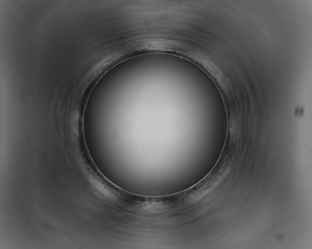 X0000101140445200807071130