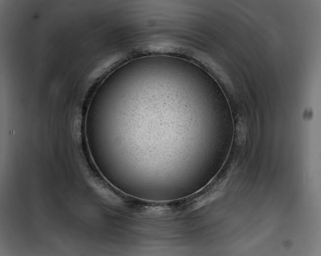 X0000101140446200807071130