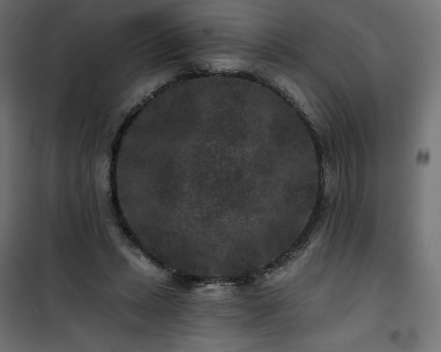 X0000101140447200807071130