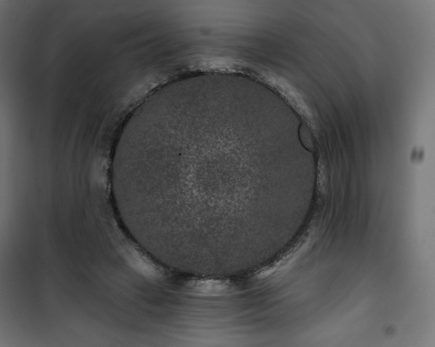 X0000101140449200807071130