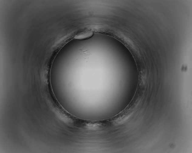 X0000101140450200807071130