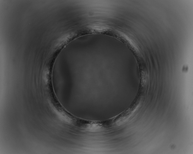 X0000101140451200807071130