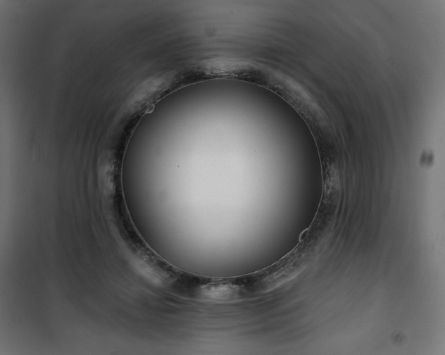 X0000101140452200807071130