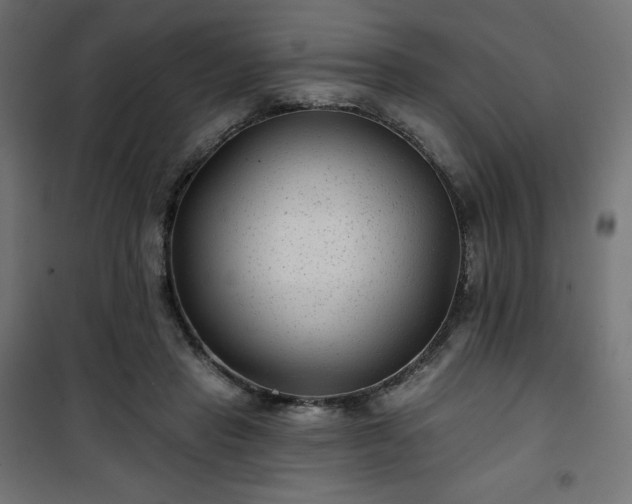 X0000101140453200807071130