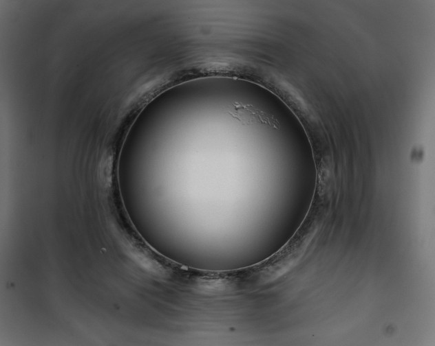 X0000101140454200807071130