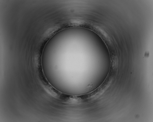 X0000101140455200807071130