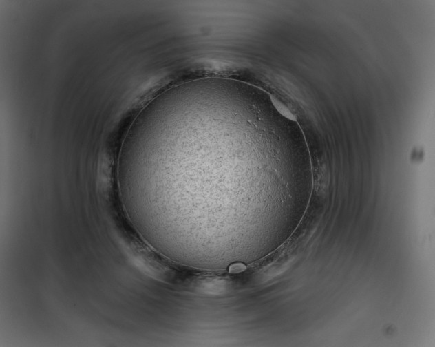 X0000101140456200807071130