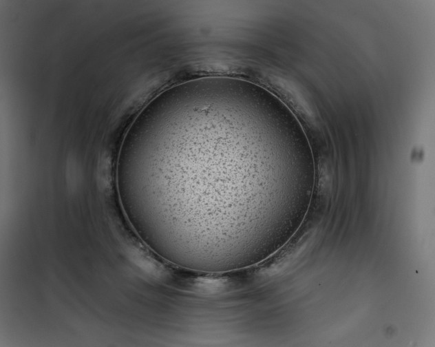 X0000101140457200807071130