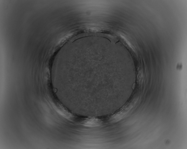 X0000101140459200807071130