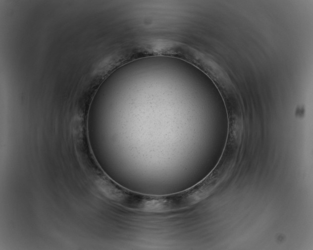 X0000101140461200807071130