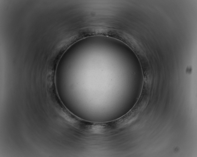 X0000101140462200807071130