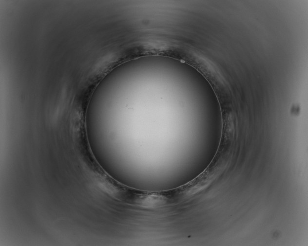 X0000101140463200807071130