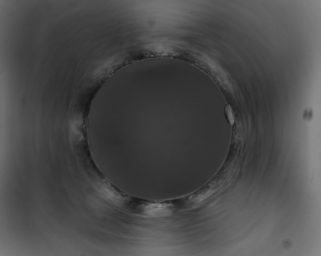 X0000101140465200807071130