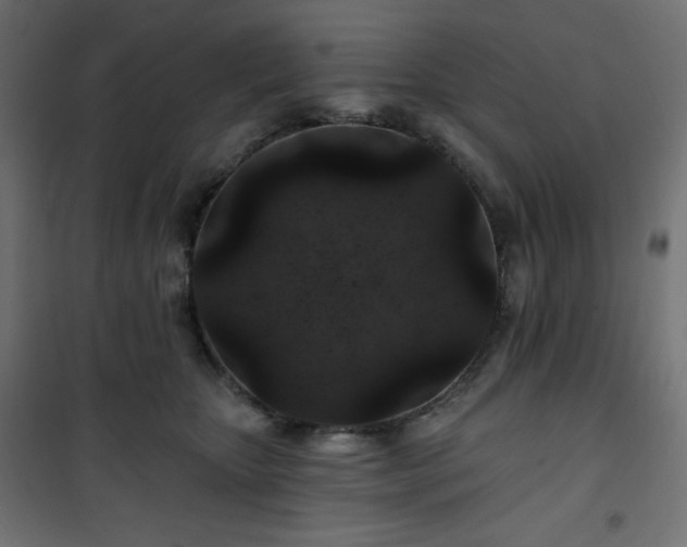 X0000101140467200807071130