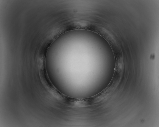 X0000101140468200807071130