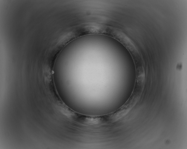 X0000101140469200807071130