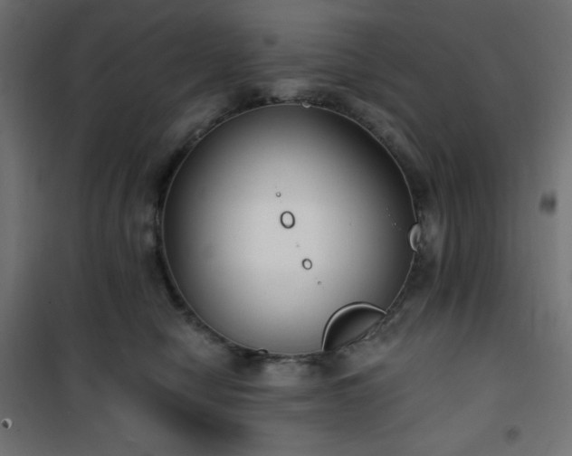 X0000101140470200807071130