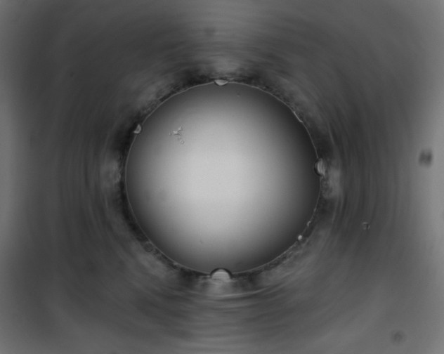 X0000101140472200807071130