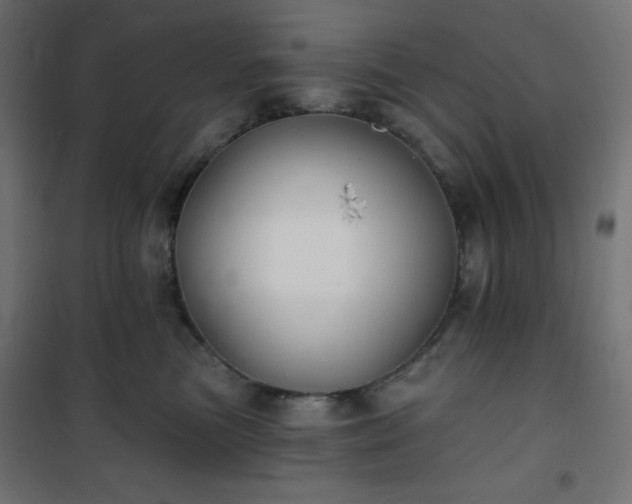 X0000101140473200807071130