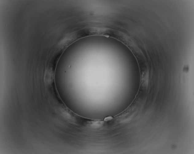 X0000101140474200807071130