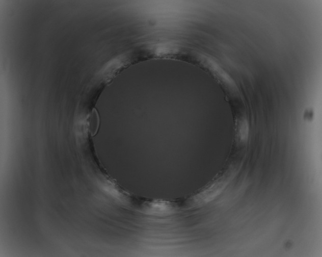 X0000101140475200807071130