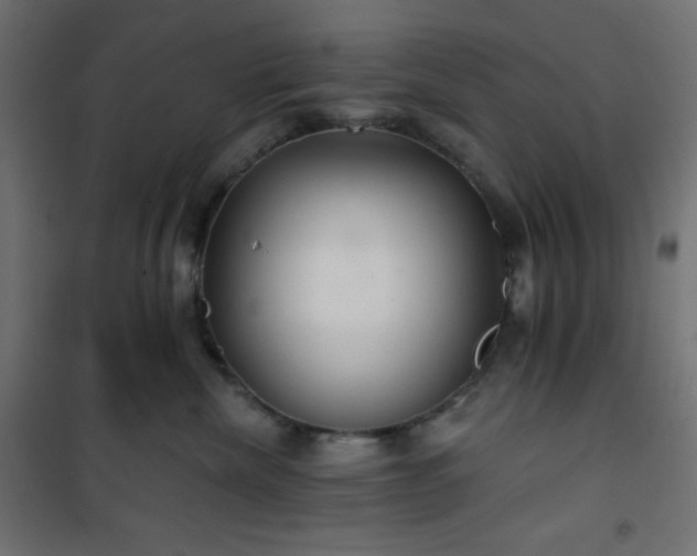 X0000101140476200807071130