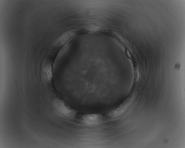 X0000101140479200807071130