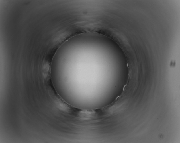 X0000101140480200807071130