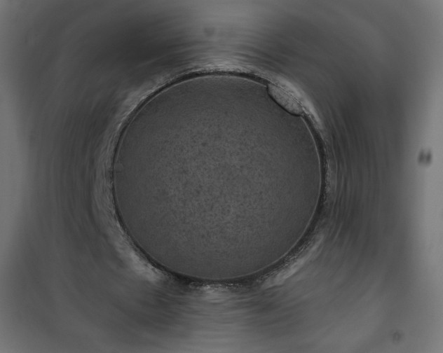 X0000101140481200807071130