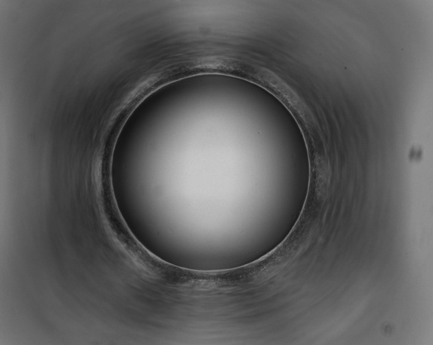 X0000101140482200807071129