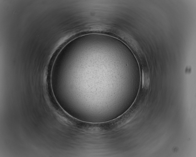 X0000101140483200807071129