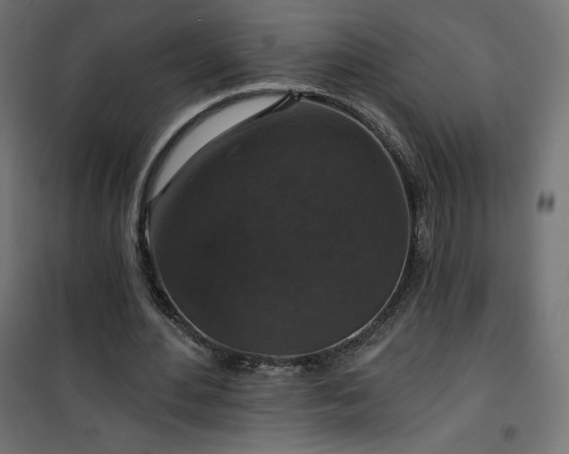 X0000101140484200807071129