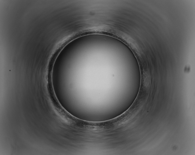 X0000101140486200807071129