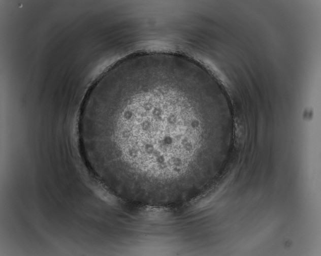 X0000101140487200807071129