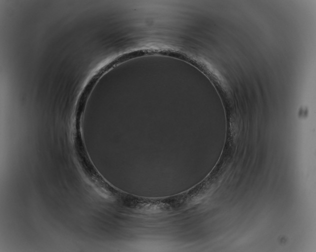 X0000101140488200807071129